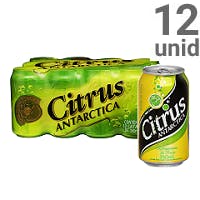 Citrus Antarctica 350ml - Pack com 12 Unidades